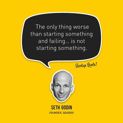 seth godin's startup quote